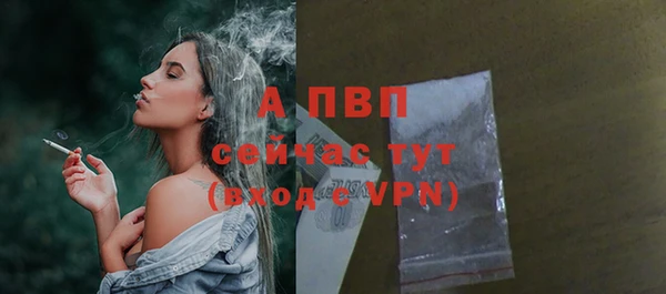 стафф Белокуриха