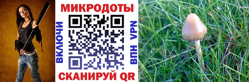 Галлюциногенные грибы мицелий  купить наркотики сайты  Волгореченск 